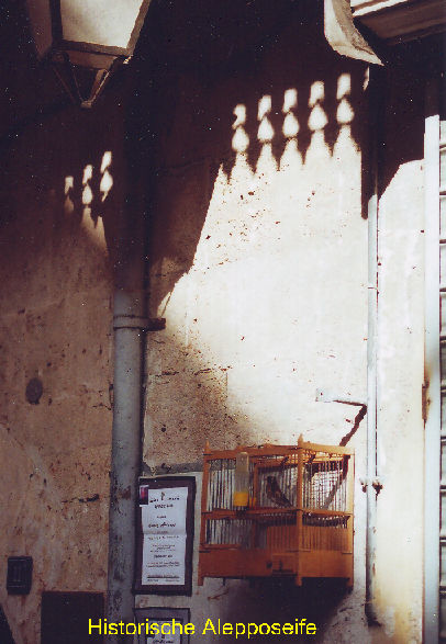 Aleppo, Vogelkäfig im Armenierviertel