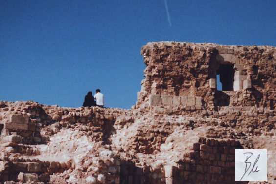 Citadel, Aleppo