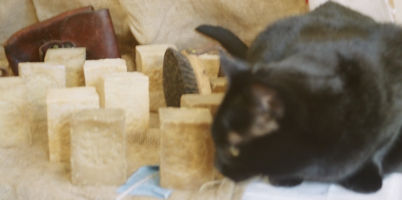 Aleppo Soap Cat