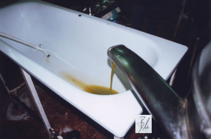 Olivenöl aus erster Pressung